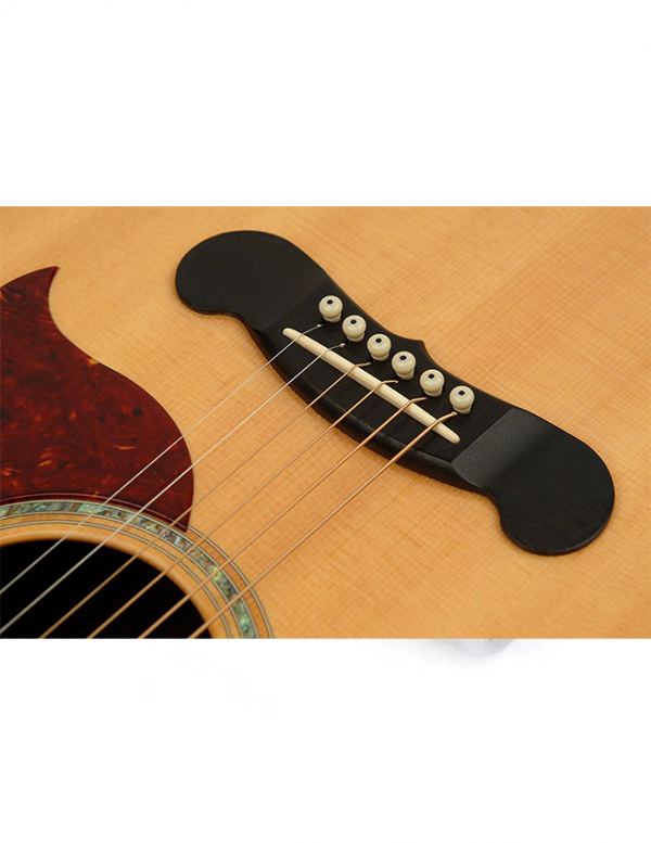 D'Addario Ivory Bridge & End Pins - PWPS12 - Image 2