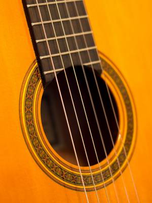 Classical Guitar & Ukulele