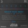 D'Addario XT Coated - XTAPB1253 - Image 2