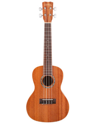 Cordoba U1C Concert Ukulele w/bag