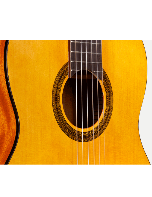 Córdoba C1 - 4/4 Classical Guitar with Gig Bag - Image 3