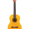 Córdoba C1 - 4/4 Classical Guitar with Gig Bag