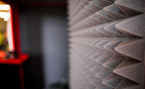 Acoustic Treatment