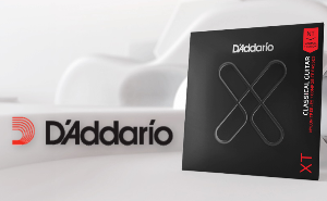 D'Addario